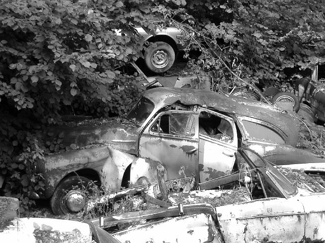 Autofriedhof - 064.JPG - Historischer Autofriedhof,    Gürbetal (CH)